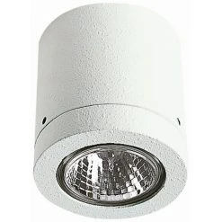 Albert Leuchten 2140 Deckenaufbauleuchte Weiß, 1-flammig