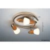 Globo LORD Deckenspot Edelstahl, Holz hell, 3-flammig