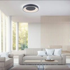 Leuchten Direkt LOLAsmart-ANIKA Deckenleuchte LED Anthrazit, 1-flammig, Fernbedienung, Farbwechsler