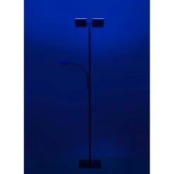 Leuchten Direkt Ls-RUBEN Stehleuchte LED Stahl gebürstet, 2-flammig, Fernbedienung, Farbwechsler 17 Leuchten Direkt Ls-RUBEN Stehleuchte LED Stahl gebürstet, 2-flammig, Fernbedienung, Farbwechsler -Bürolampen Verkäufe leuchten direkt ls ruben stehleuchte 11925 55 7