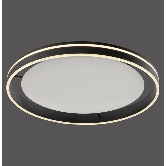 Paul Neuhaus Q-Serie Paul Neuhaus Q-VITO Deckenleuchte LED Anthrazit, 1-flammig, Fernbedienung 2 Paul Neuhaus Q-Serie Paul Neuhaus Q-VITO Deckenleuchte LED Anthrazit, 1-flammig, Fernbedienung – Bild 2