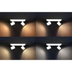 Philips Leuchten Philips Hue White Ambiance Runner Deckenspot Basis-Set LED Weiß, 2-flammig, Fernbedienung -Bürolampen Verkäufe philips hue white ambiance runner deckenspot basis set 8718696175309 2